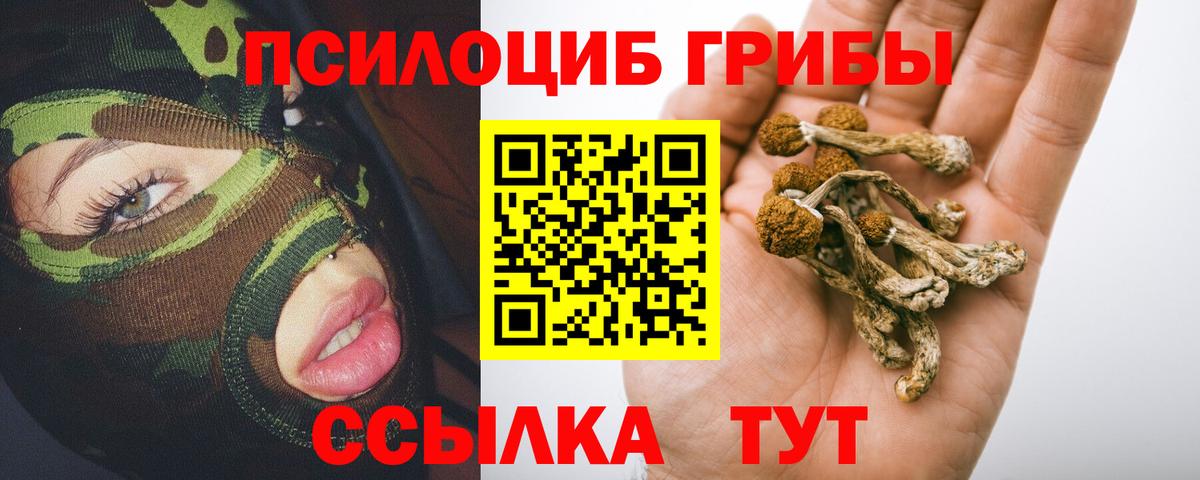Псков  Галлюциногенные грибы мицелий  Вход с VPN  Галлюциногенные грибы Psilocybine cubensis 
